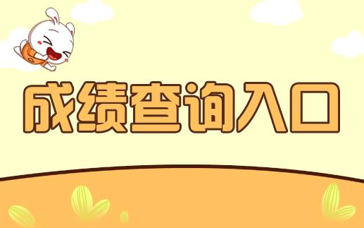 一级消防工程师成绩查询入口