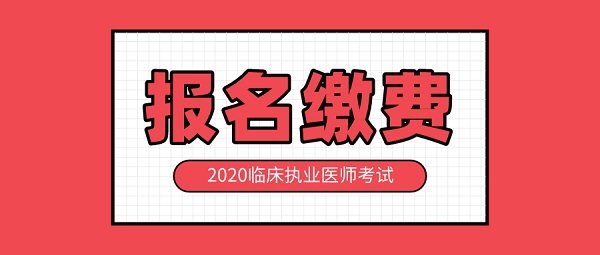 湖南临床执业医师考试缴费时间