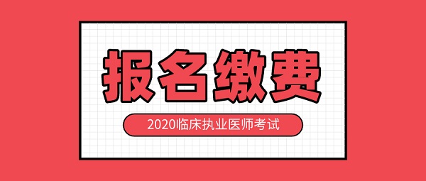 湖南临床执业医师考试缴费时间