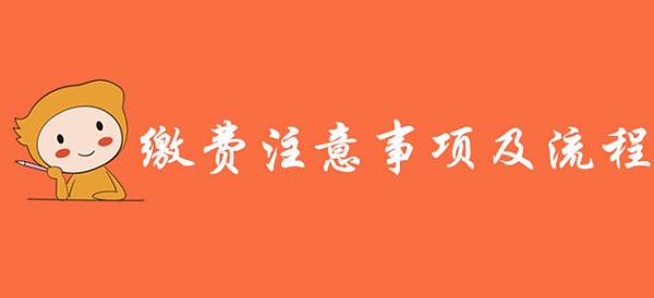 湖南临床执业医师考试缴费流程